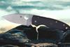 Spyderco-Shaman-Plainedge