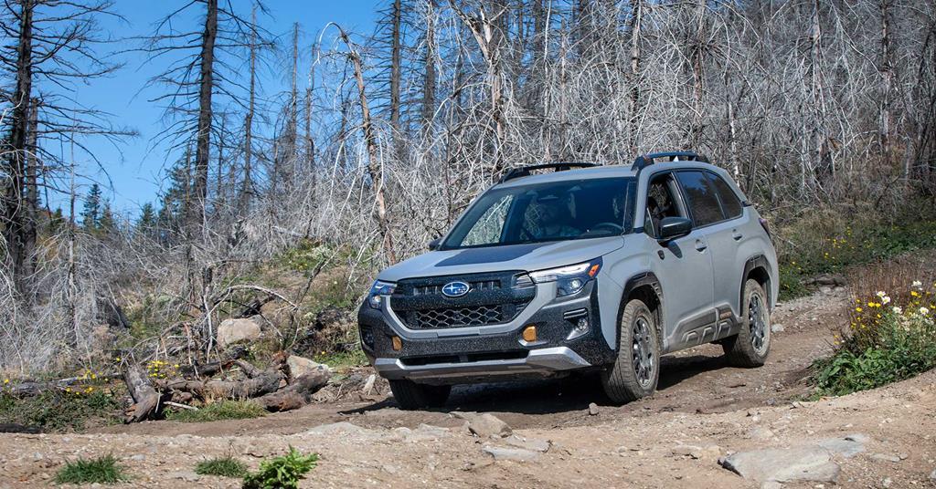 Subaru Forester Ricer 2026 Subaru Forester Wilderness Review: Is this the Ideal AWD ...