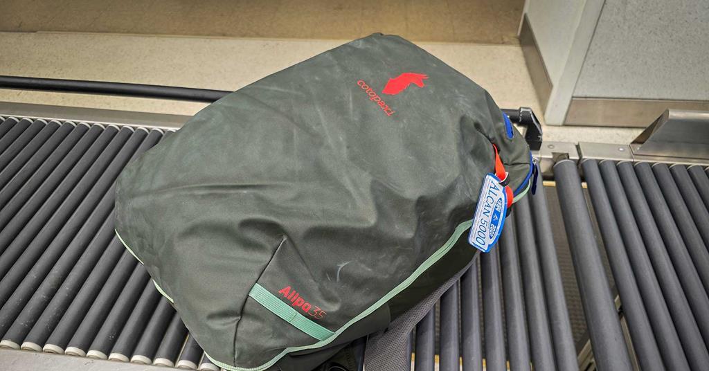 herschel backpack classic forest night xl Herschel Supply Co. Classic XL Green Backpack