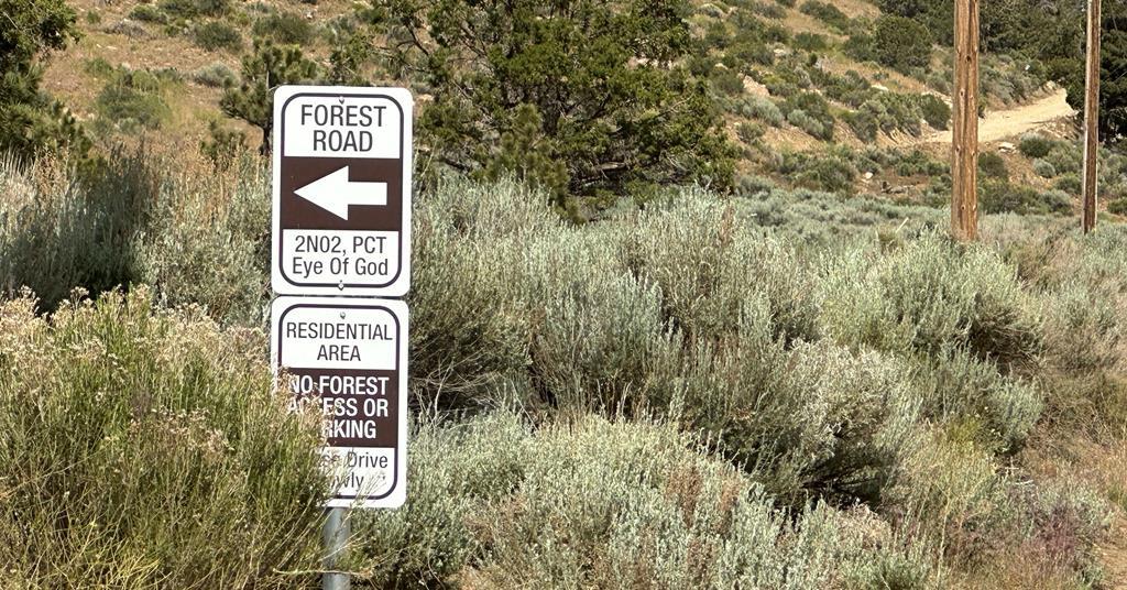 ROAD TRIP From The Desert To The Mountains Driving San Bernardino