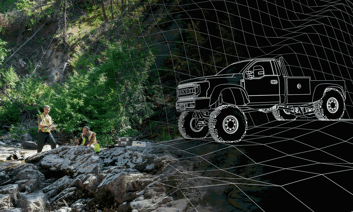 KXI Wildertec Graphic