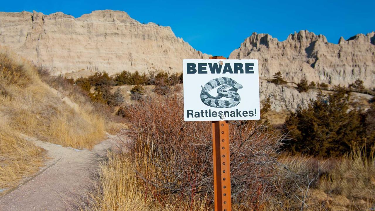 Nope Rope: How to Avoid Venomous Snakes and What to Do If You Couldn’t ...