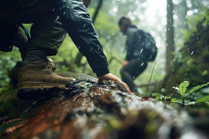 AdobeStock_701974183