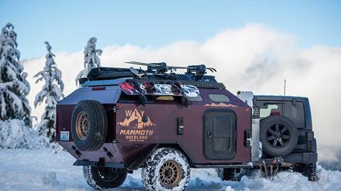 Mammoth-WLY-10
