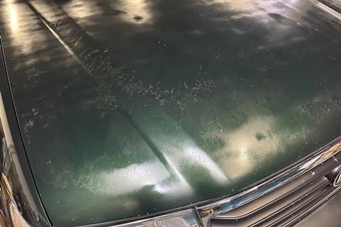 Hood-Sprayed-IMG_8577