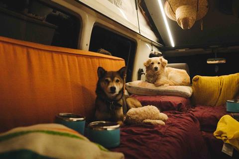 GonDirtin_BajaYMas_2_Puppies_in_Landcruiser_Evening