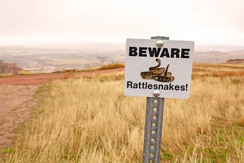 OVR-Rattle-Snake-Bite-2