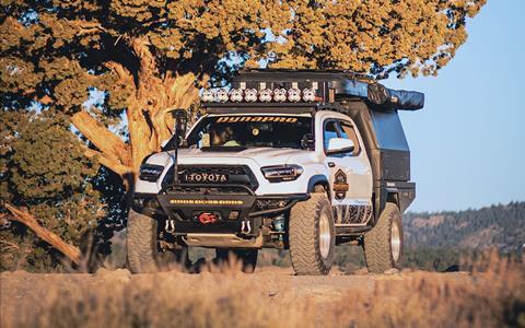 Dennis Tacoma Sunset by Tree