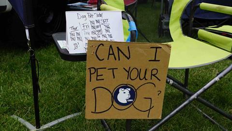 Overland Expo Dogs_11