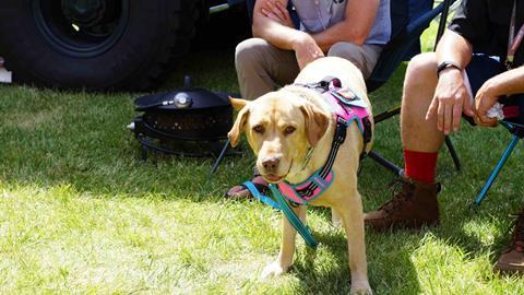 Overland Expo Dogs_12