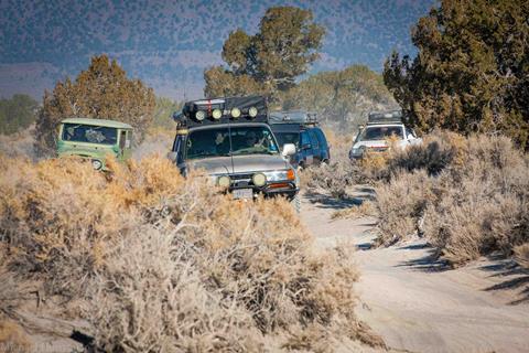 Convoy in the Brush (1 of 1)