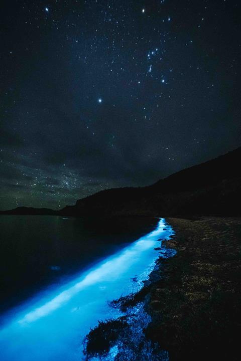 GonDirtin_BajaYMas_Night_beach_beauty_shot