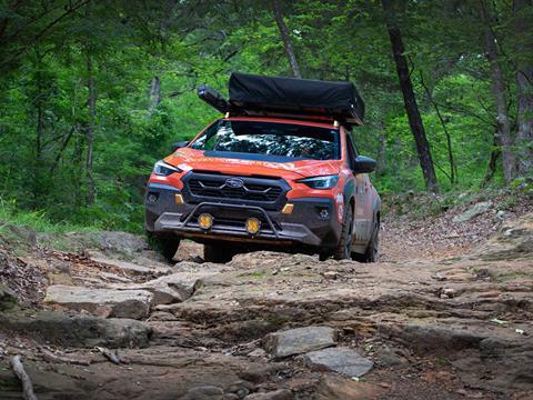 Arkansas-Warloop-Rd._credit-Mercedes-Lilienthal