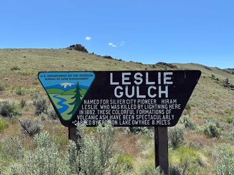 LESLIE-GULCHaimage11