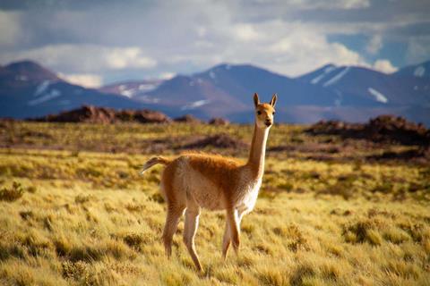 South-America-012