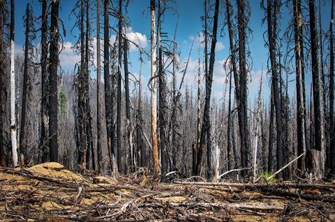 2025-TransAmerica-Trail-burnt-OR_credit-Mercedes-Lilienthal