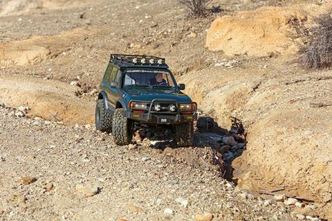 aaIMG_4071-EDIT-copy