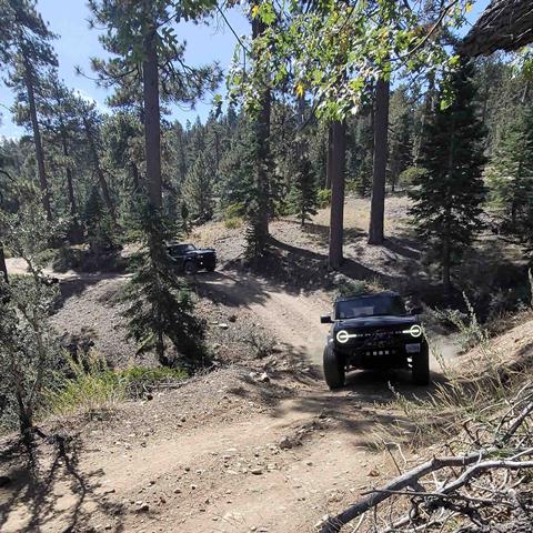 2021 Ford Bronco with Solid Wood Worx drawer storage system on Big Bear trail near Holcomb Valley