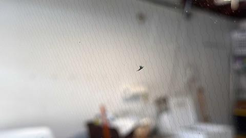 0-damage-IMG_5589