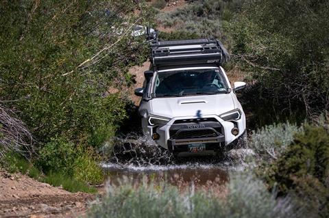 Fox-Bravo-Overland-02_credit-Mercedes-Lilienthal