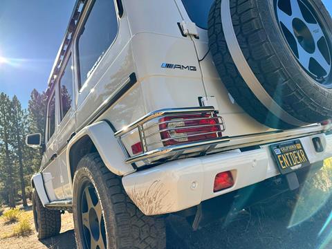 a-tail-protection-IMG_8056