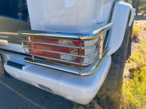 a-tail-protection-IMG_8045