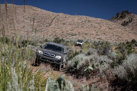 Fox-Bravo-Overland-14_credit-Mercedes-Lilienthal
