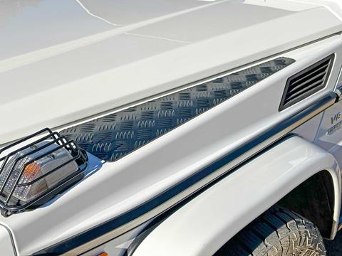 a-plate-protection-IMG_7977